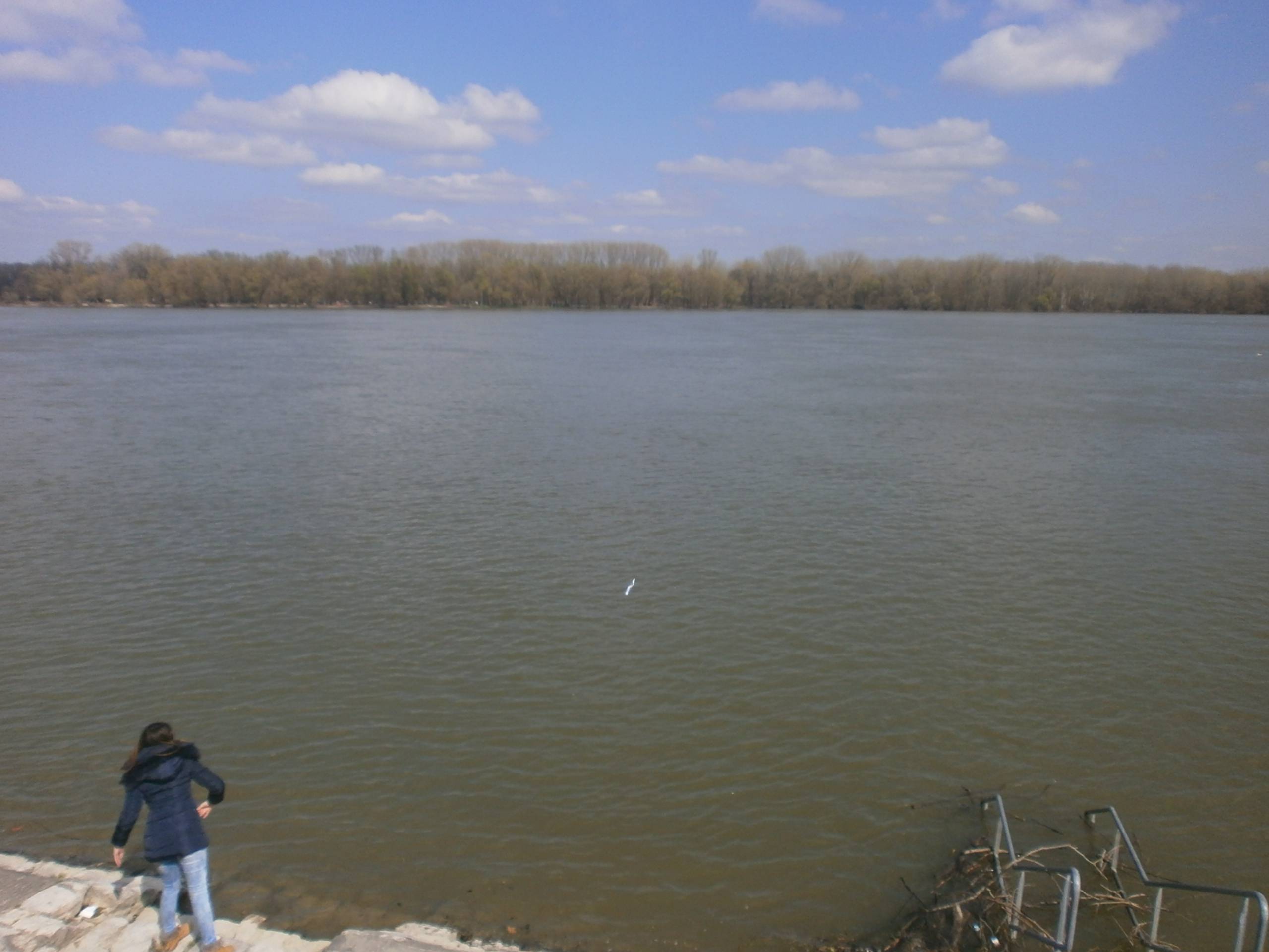 Bacanje boce u Dunav